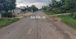 320 tỷ đồng nâng cấp, mở rộng Tỉnh lộ 2 đoạn qua huyện Krông Ana