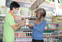 Chủ động ứng dụng các giải pháp canh tác an toàn