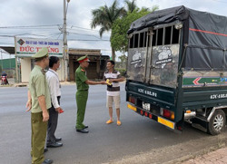 Thu nội địa tăng hơn 122%