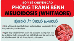  Bộ Y tế khuyến cáo phòng tránh bệnh Withmore