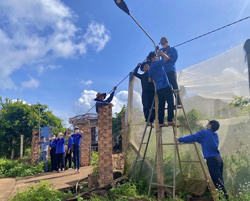 Sôi nổi mùa hè tình nguyện