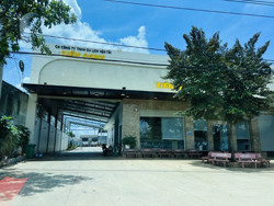 Huyện Cư Kuin (Đắk Lắk): Không thể để 'dân bị cưỡng chế, doanh nghiệp lại không'