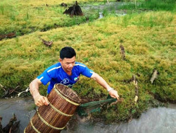 Món ngon từ cá suối