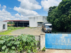 300 tấn phân bón 'USA' nghi giả đã bán ra thị trường