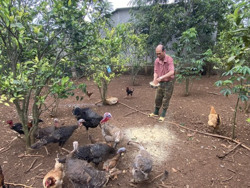 Thu nhập khá với mô hình đa cây, đa con