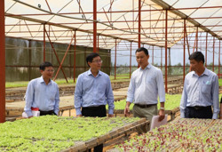 Nhiều dư địa thu hút đầu tư vào nông nghiệp