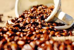 Giá cà phê hôm nay 17/6: Tăng mạnh lên mức 42.700 đ/kg