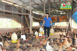 Xử lý nghiêm hành vi kinh doanh hàng giả