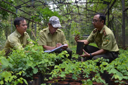 Vườn Quốc gia Yok Đôn: Nghiên cứu chọn giống và trồng thử nghiệm loài trắc