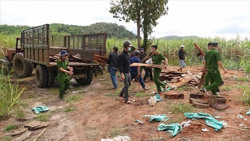 Rừng Ea Kar vẫn “nóng”