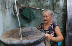 Bộ Y tế cảnh báo nguy cơ bùng phát sốt xuất huyết