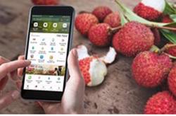 Nhiều thị trường mới cho nông sản Việt