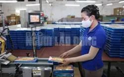 Chính sách lao động - tiền lương có hiệu lực từ tháng 7-2022