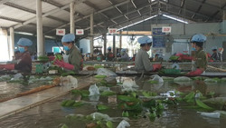 Ngành trái cây cũng gặp khó bởi giá xăng