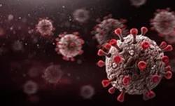 Nghiên cứu mới từ Mỹ: Cách BA.5 "xuyên thủng" miễn dịch từ vắc-xin và "cựu F0"