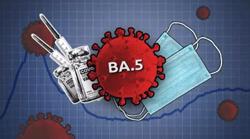 Điều gì xảy ra ở các nước bị BA.5 Omicron xâm nhập vài tuần qua?