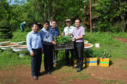 Huyện Lắk trao tặng TP. Buôn Ma Thuột 200 cây Kơ nia