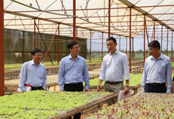 Nhiều dư địa thu hút đầu tư vào nông nghiệp