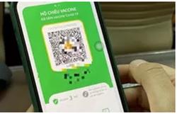 Vì sao còn tới 28 triệu mũi tiêm vắc-xin Covid-19 chưa được xác thực để cấp hộ chiếu?