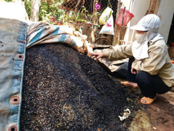 Biến phế phẩm nông nghiệp thành phân hữu cơ