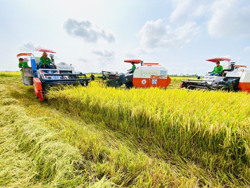 Phải giúp nông dân làm giàu