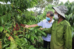 Huyện Lắk với hành trình thoát khỏi huyện nghèo