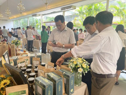 Khó đưa nông sản vào siêu thị