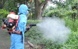 Bộ Y tế cảnh báo số mắc Covid-19 và sốt xuất huyết có thể tăng