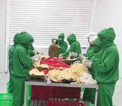 Nâng cao giá trị trái cây qua chế biến