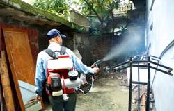 Bộ Y tế đề nghị duy trì diệt lăng quăng để phòng sốt xuất huyết