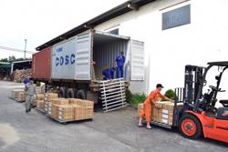 Xuất khẩu hàng hóa: Nhiều cơ hội vượt qua thách thức