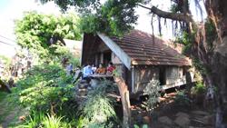 Du lịch Đắk Lắk: "Cú hích" từ những sản phẩm đặc thù