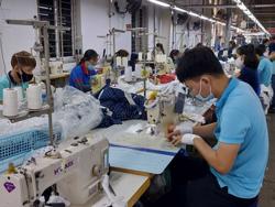 Thị trường lao động: Những tín hiệu phục hồi