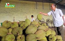 Bơ và sầu riêng "gặp khó" trên sàn thương mại điện tử