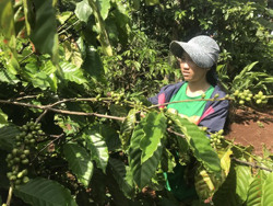 Cô học trò mồ côi vượt khó học giỏi