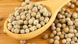 Giá tiêu hôm nay 20/7: Tăng nhẹ lên ngưỡng 70.000 đ/kg