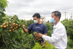 Hướng phát triển kinh tế mới tại xã Tân Hòa