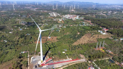 Quyết liệt triển khai các giải pháp gỡ “vướng”