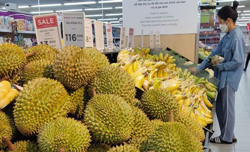 Xuất khẩu chính ngạch vẫn không dễ