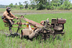 Nghị lực vượt lên nghịch cảnh