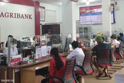 Dư nợ cho vay nền kinh tế tại Agribank Đắk Lắk cán mốc 16.000 tỷ đồng