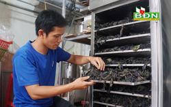 Người đưa "cây nhà, lá vườn" Ðắk Nông lên thương mại điện tử toàn quốc