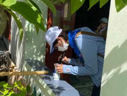 Xử phạt các tổ chức, cá nhân không thực biện pháp phòng chống sốt xuất huyết