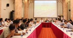 Toàn tỉnh triển khai được 93 mô hình sản xuất đã được chứng nhận theo các tiêu chuẩn chất lượng