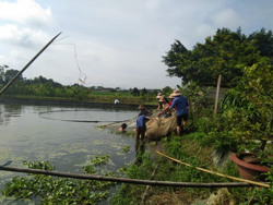 Sinh viên Viện Nuôi trồng thủy sản hỗ trợ kỹ thuật cho nông dân nuôi cá