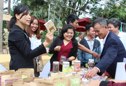 Hỗ trợ đầu tư hạ tầng cho 7 hợp tác xã