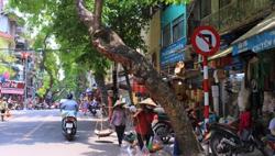 Khu vực Bắc Bộ ngày nắng nóng, chiều tối mưa dông