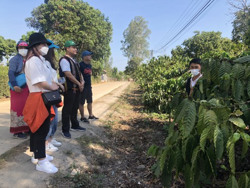 Gỡ “nút thắt” cho “Cà phê tour”