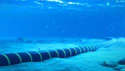 Tuyến cáp quang biển APG gặp sự cố, ảnh hưởng Internet đi quốc tế