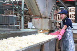 Chăm lo, bảo vệ quyền lợi cho lao động nữ: Hiệu quả từ cách làm phù hợp